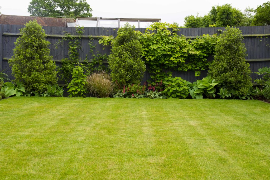 Garden Landscaper Lawn and boundary details