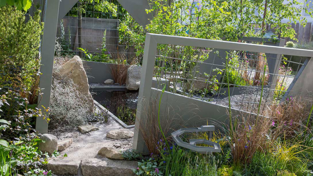 mind trap garden rhs chelsea flower show