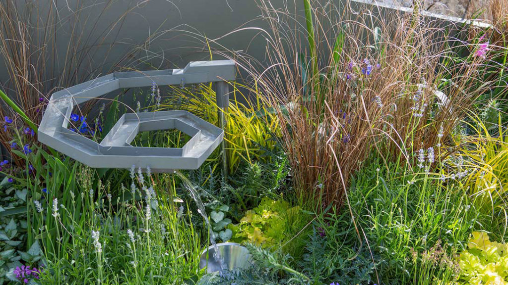 mind trap garden rhs chelsea flower show