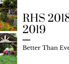 Garden Landscapers Award Winning RHS Chelsea.png