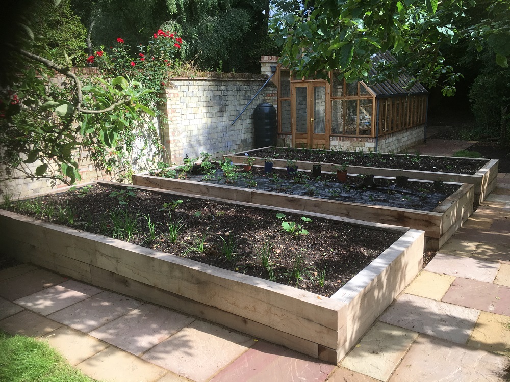 raised beds and greenhouse